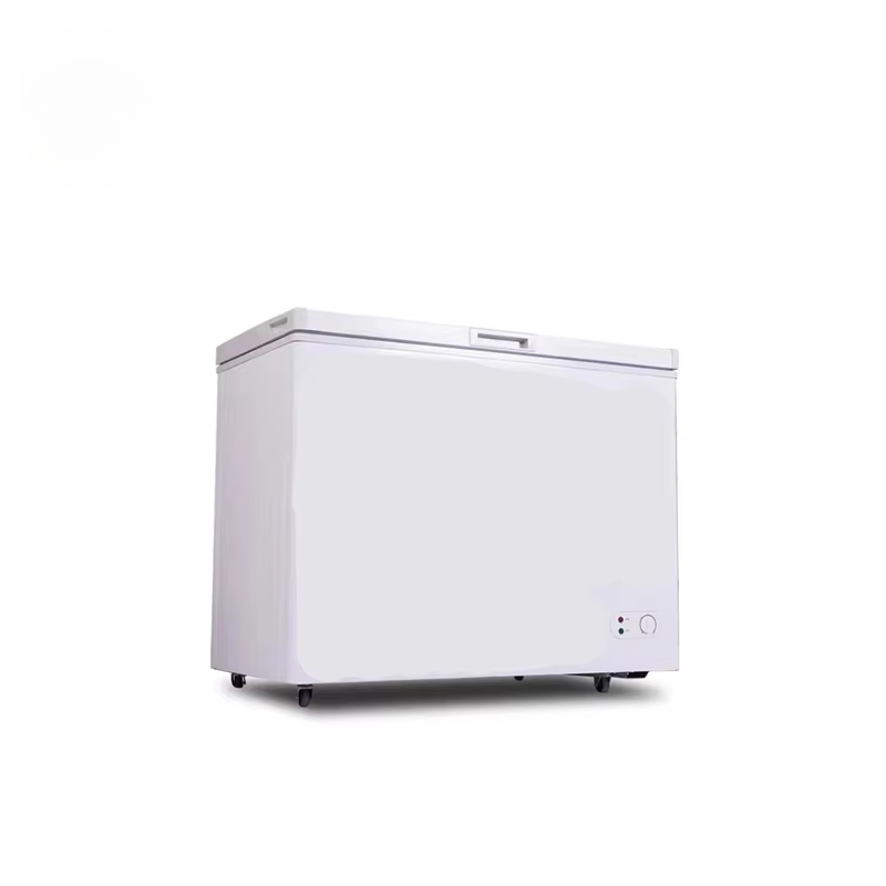 100~300 리터 작은 용량 상업용 수평 냉동고 급속 - Commercial Chest Freezer 리뷰 및 가격